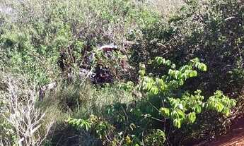 Imagem 2: FAZENDA À VENDA EM SONORA - MS - 1.248 HECTARES (DUPLA APTIDÃO