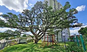 Imagem 2: NOVO HAMBURGO - Apartamento Padrão - Rincão