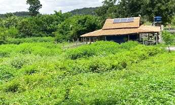 Imagem 3: Vedo excelente fazenda em aldeias altas-MA