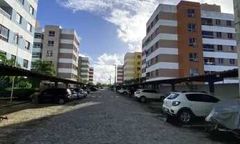 Imagem 2: Palm Ville - Aruana