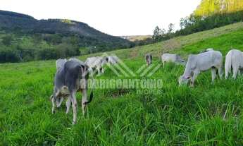 Imagem 3: Fazenda em Diamantina/MG