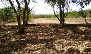 Imagem 4: Propriedade espetacular em aldeia!!! perto do asfalto, com água e muito verde!!!