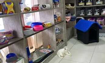 Imagem: Repasso petshop