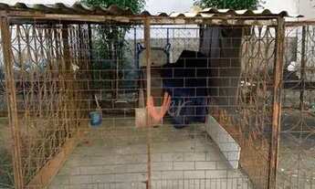 Imagem 3: Apartamento com 2 dormitórios para alugar, 40 m² por R$ 650,00/mês - Parque Albano - Cauca