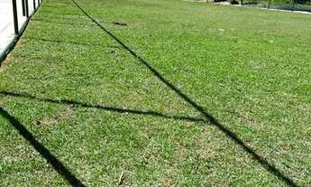 Imagem 3: Quintas da Barra - Lote com 283 m