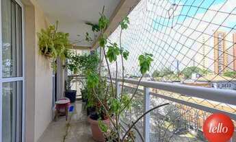 Imagem 4: São Paulo - Apartamento Padrão - Tatuapé