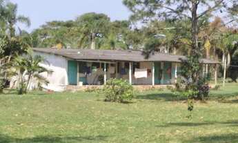 Imagem 4: Fazenda para venda com 8342 metros quadrados em Iguape - Iguape - SP