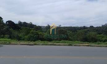 Imagem 6: ALMIRANTE TAMANDARé - Terreno Padrão - Campina do Arruda