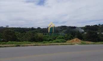 Imagem 3: ALMIRANTE TAMANDARé - Terreno Padrão - Campina do Arruda