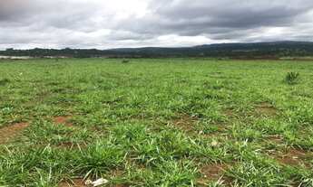 Imagem 4: Lançamento Dra. Zelia Nunes - Condições de Pré-Lançamento