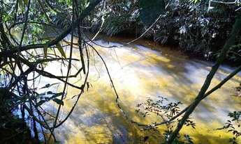 Imagem 4: Super chácara com piscina e peixes gramada jardins