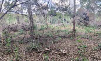 Imagem: Áreas de 5 mil metros em Esmeraldas