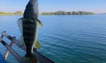 Imagem 5: Rancho em Miguelópolis