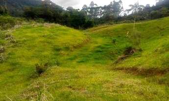 Imagem 7: Fazenda/Sítio/Chácara para venda com 62.500 metros quadrados em Garcia - Angelina - SC