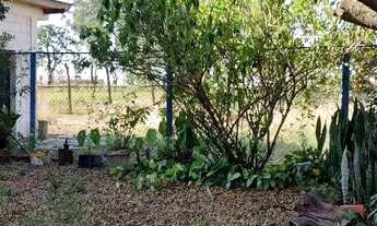 Imagem 6: Galpão mais Terreno!