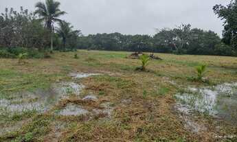 Imagem 4: Propriedade com 6,5 Heketares em rua asfaltada, muita água e com edificações