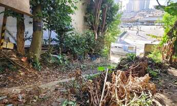 Imagem 5: Terreno à venda, 380 m² por R$ 1.300.000 - Piqueri - São Paulo/SP