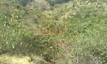 Imagem 7: Vende-se fazenda 148 ha; Aptidão Pecuária em Eunapolis BA