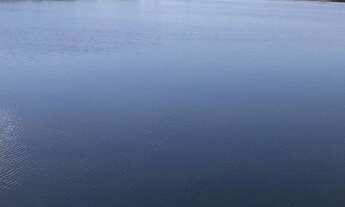 Imagem 5: FAZENDA À VENDA EM SONORA - MS - 1.248 HECTARES (DUPLA APTIDÃO