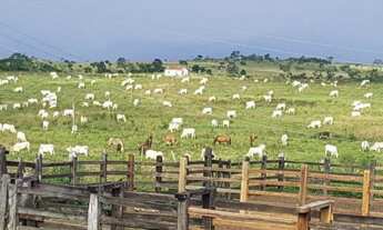 Imagem 1: Fazenda para Venda em Santa Cruz Da Vitória, Zona Rural