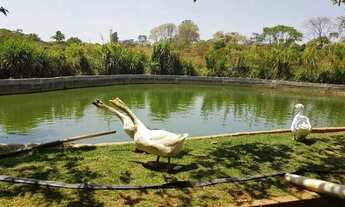 Imagem 5: Linda Chácara de Ponte Alta Gama / Ótima Localização!