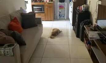 Imagem 4: Casa beira mar na barra nova