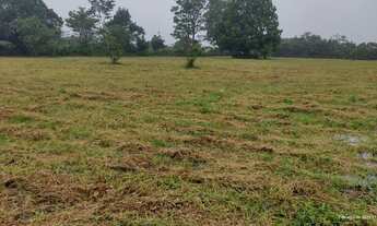 Imagem 3: Propriedade com 6,5 Heketares em rua asfaltada, muita água e com edificações