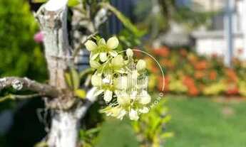 Imagem 5: Cobertura à venda, 218 m² por R$ 1.180.000,00 - Estreito - Florianópolis/SC