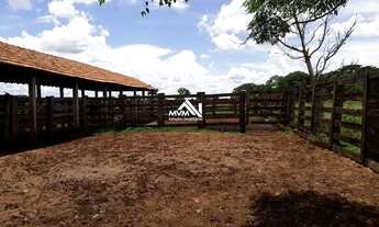 Imagem: Fazenda para Venda em Inocência, Centro
