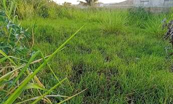 Imagem 2: Vendo lote 1000 metros quadrados