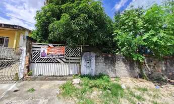 Imagem 4: Lote/Terreno para venda com 330 metros quadrados em Parque 10 de Novembro - Manaus - AM