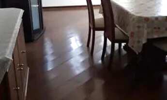 Imagem 4: CASA ASSOBRADADA - IPIRANGA - SP