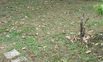 Imagem 4: Vendo casa em Paramirim