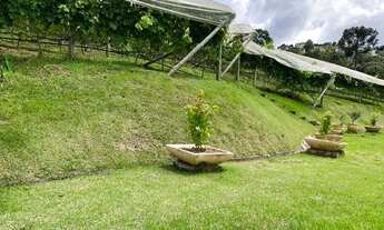 Imagem 7: Quot;Invista em um pedacinho do paraíso em Campos do Jordão!