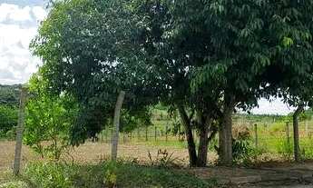 Imagem 5: Terreno em itaporanga