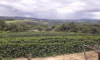 Imagem 4: Sitio com 1.5 Alqueires com Café em Paraiso - Don