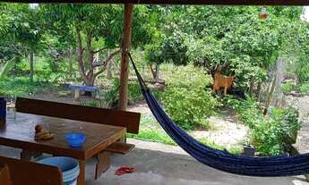 Imagem 3: Vendo rancho Chácara com venda por R$105.000