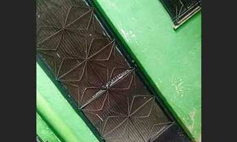 Imagem 5: 2 casas em São João de Miriti . Venda à vista