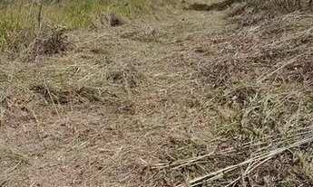 Imagem 4: Chacara Chácara com venda por R$450.000