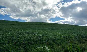 Imagem 4: Chácara à venda, 120000 m² por R$ 1.500.000 - Areia Branca dos Assis - Mandirituba/PR