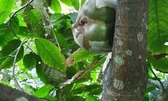 Imagem 7: Terreno para Venda em Santa Cruz Cabrália, Arraial Dajuda