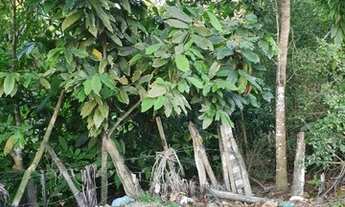 Imagem 3: Terreno para Venda em Santa Cruz Cabrália, Arraial Dajuda