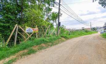 Imagem 3: Lote/Terreno para venda possui 4357 metros quadrados em Jardim Apucarana - Almirante Taman