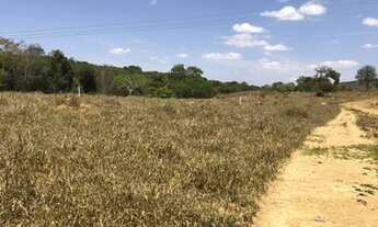 Imagem 3: Maravilhosas Chácaras de 20.000 (2 hectares) em Cordisburgo - R$ 17.950,00