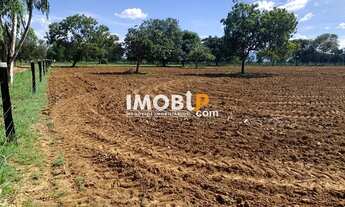 Imagem 4: Fazenda, 73ha, 70km de Formosa-GO, Rio, Gado, Pasto, Formada