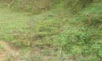 Imagem 9: Fazenda/Sítio/Chácara para venda com 62.500 metros quadrados em Garcia - Angelina - SC