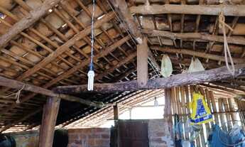 Imagem 3: Chácara 5.000mt/casinha/rancho com fogão caipira/pomar/corrego/energia e poço