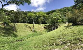 Imagem 5: Sítio com terreno de 62.263,37m² - Pântano do Sul