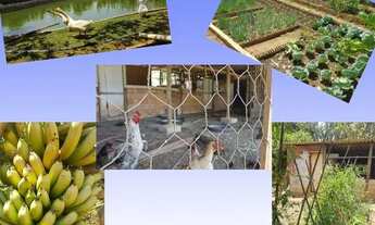 Imagem 7: Linda Chácara de Ponte Alta Gama / Ótima Localização!