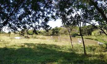 Imagem 3: Sítio 2 alqueires Bairro: Taquari - Birigui - SP